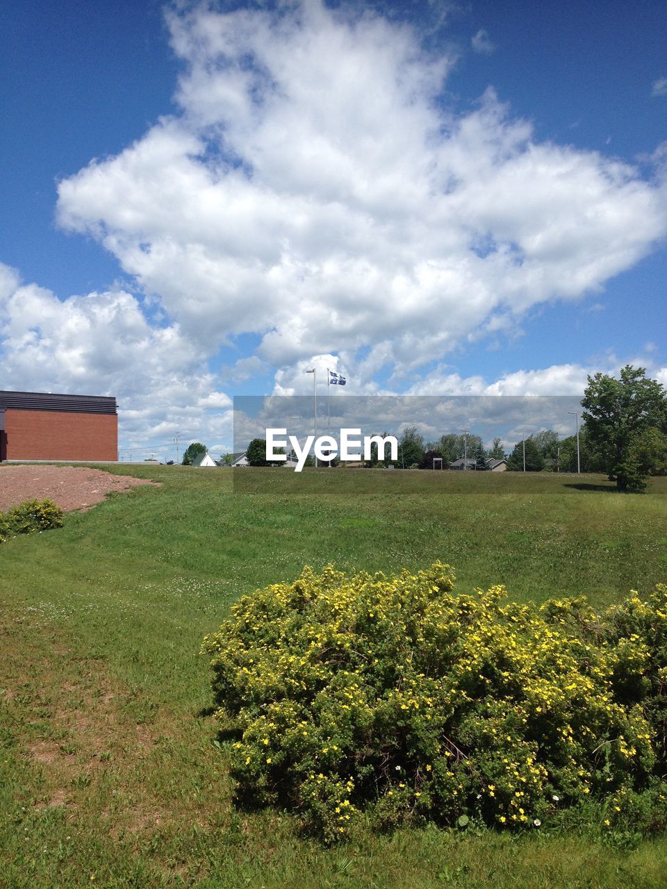 Scenic view of field against cloudy sky