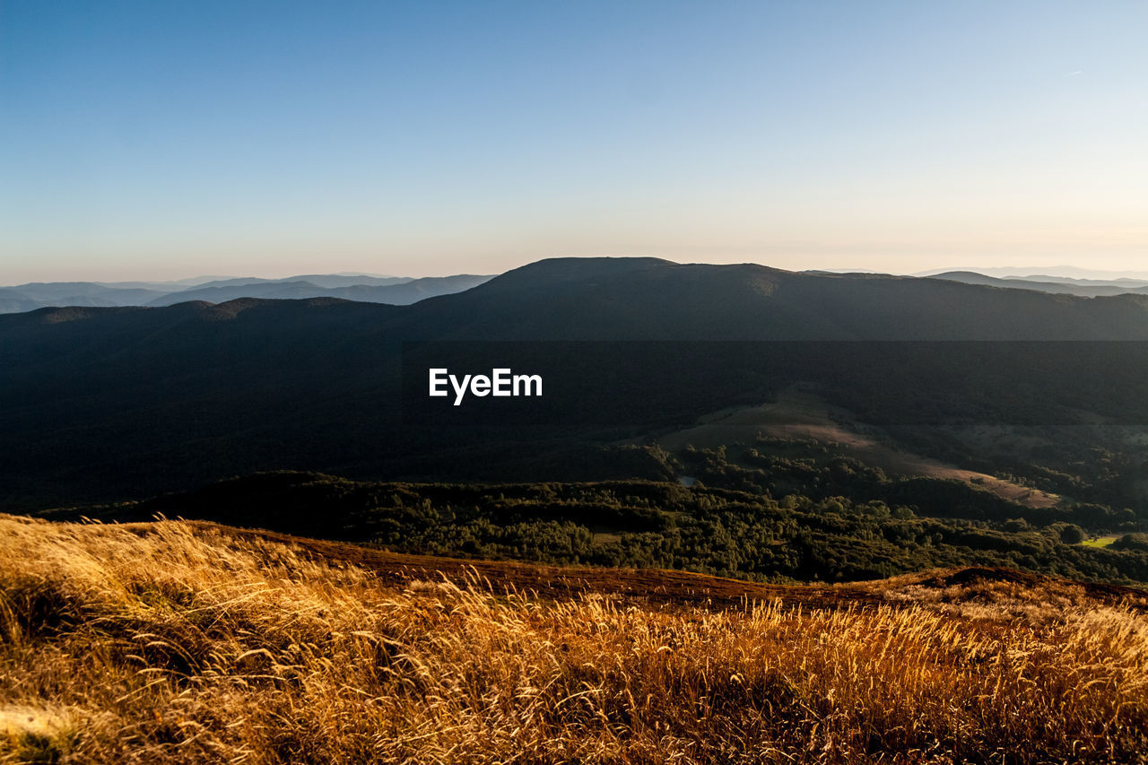 SCENIC VIEW OF LANDSCAPE AGAINST CLEAR SKY