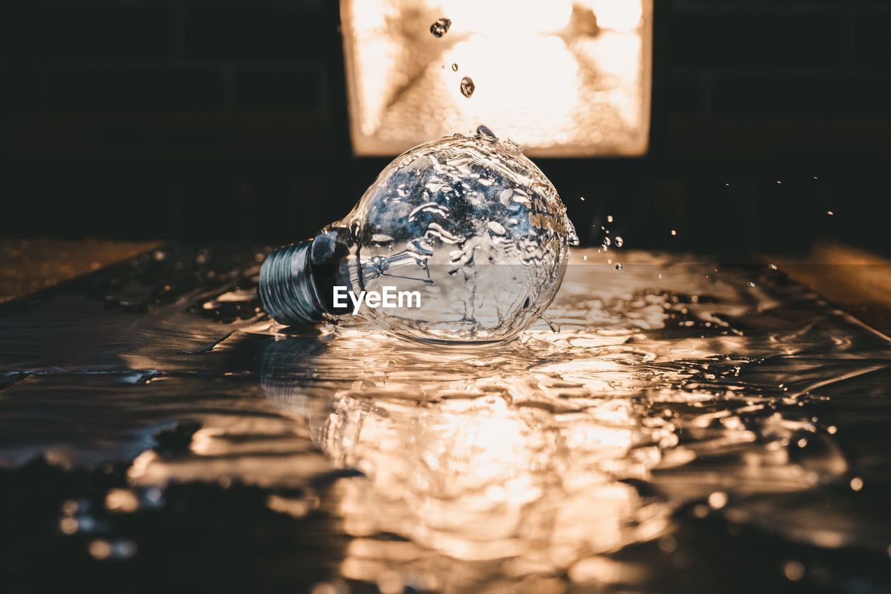 CLOSE-UP OF JELLYFISH IN WATER