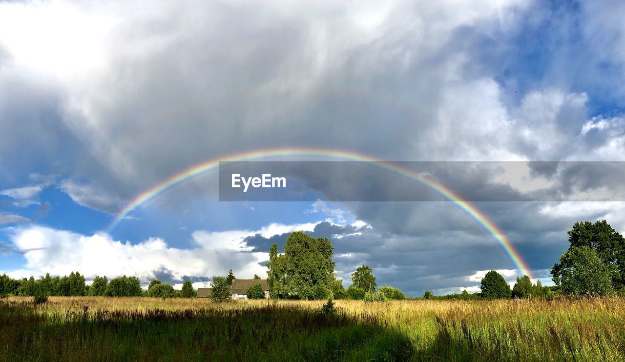 SCENIC VIEW OF RAINBOW OVER TREES ON FIELD