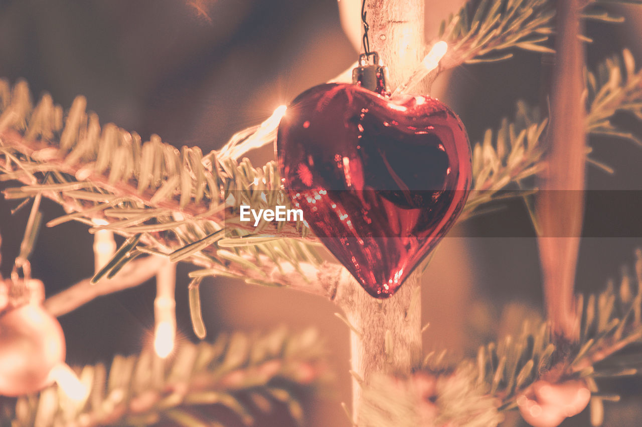 Close-up of christmas decoration on tree