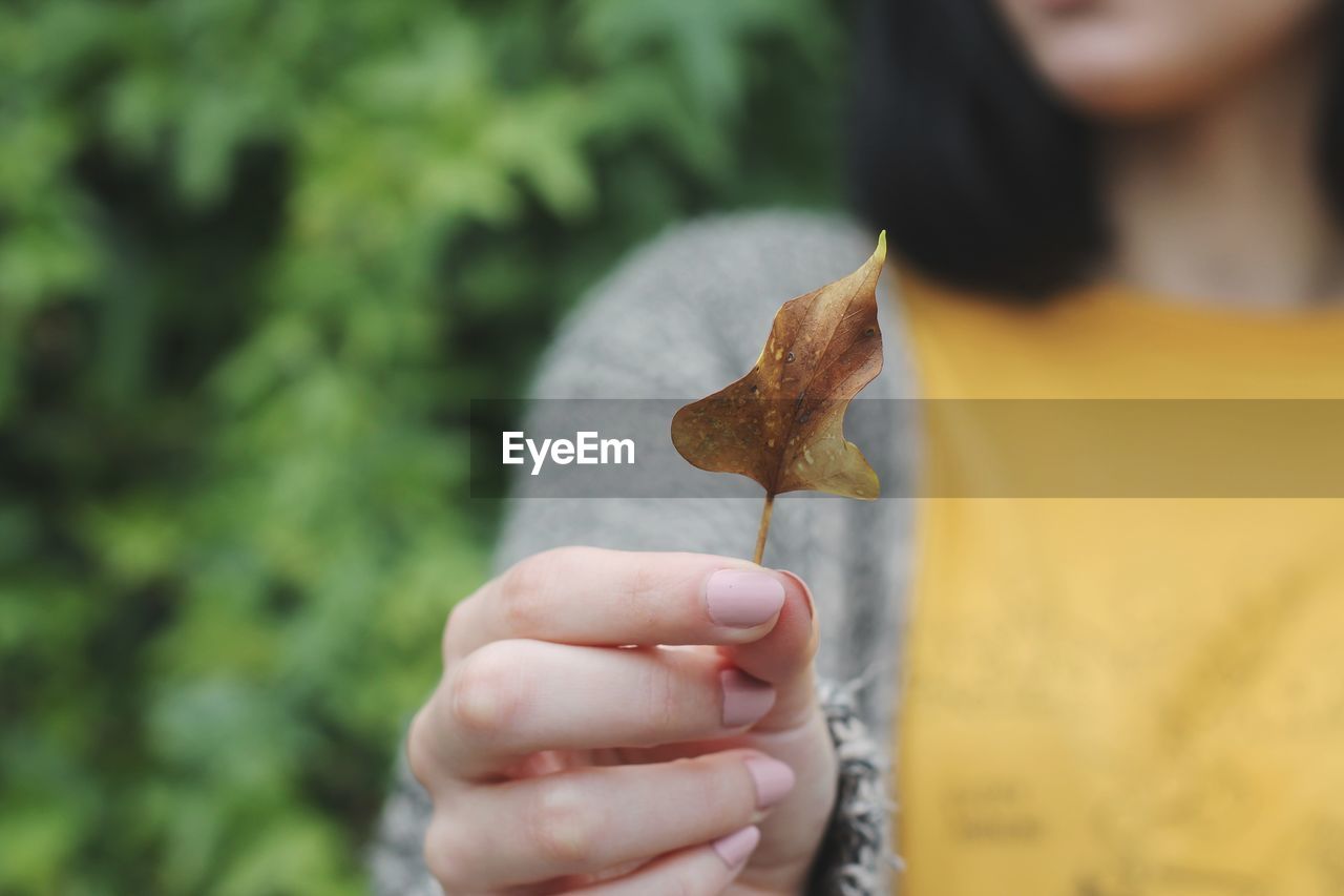 Midsection of woman holding leaf during autumn