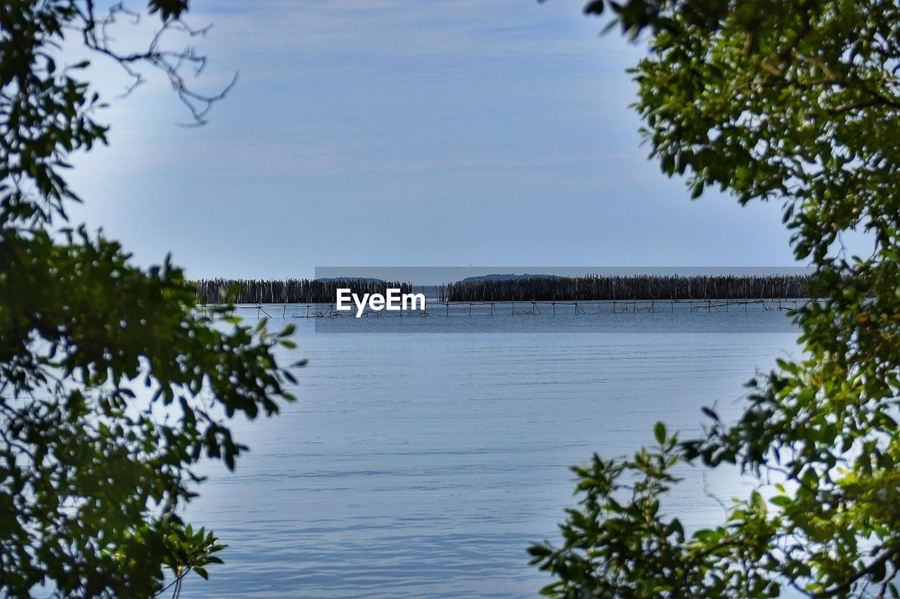 SCENIC VIEW OF LAKE AND TREES AGAINST SKY