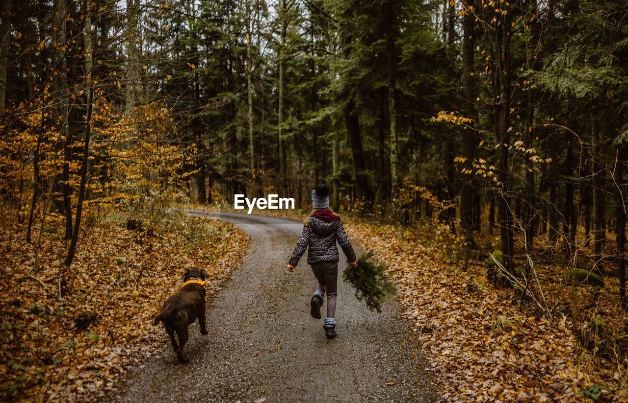 Rear view of girl with dog running on footpath in forest