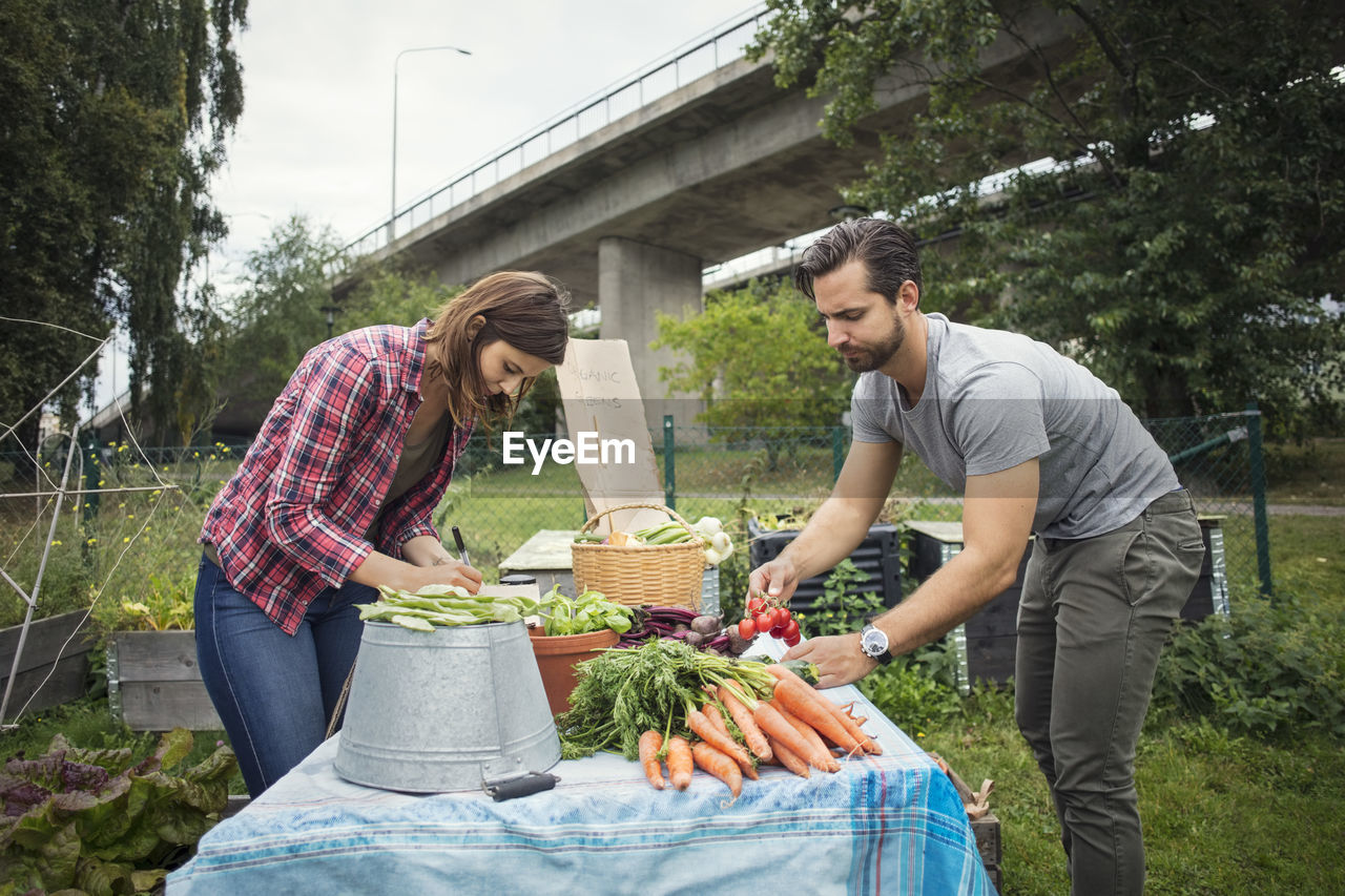 Side view of mid adult couple arranging garden vegetables on table