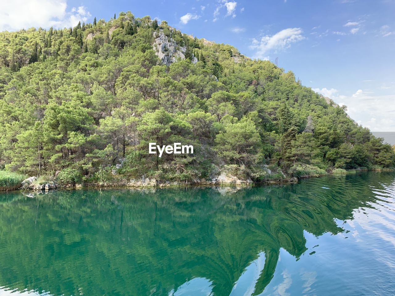 Scenic view of lake by trees against sky