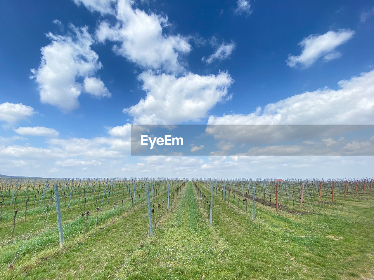 SCENIC VIEW OF FARM AGAINST SKY