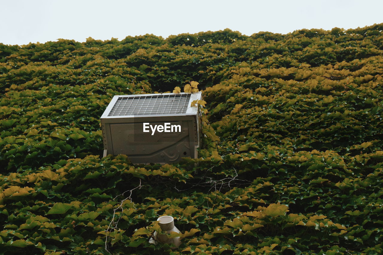 Low angle view of air conditioner on ivy covered house