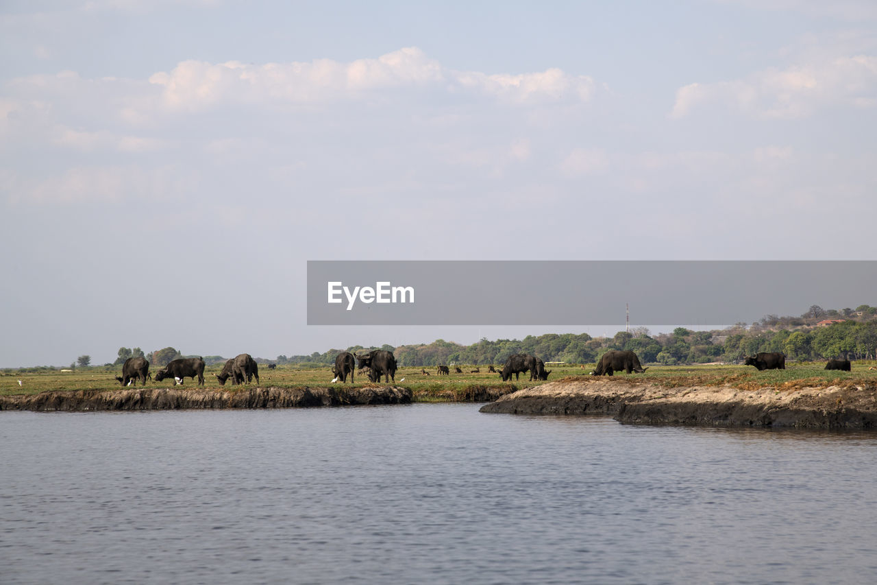 Scenic view of lake against sky