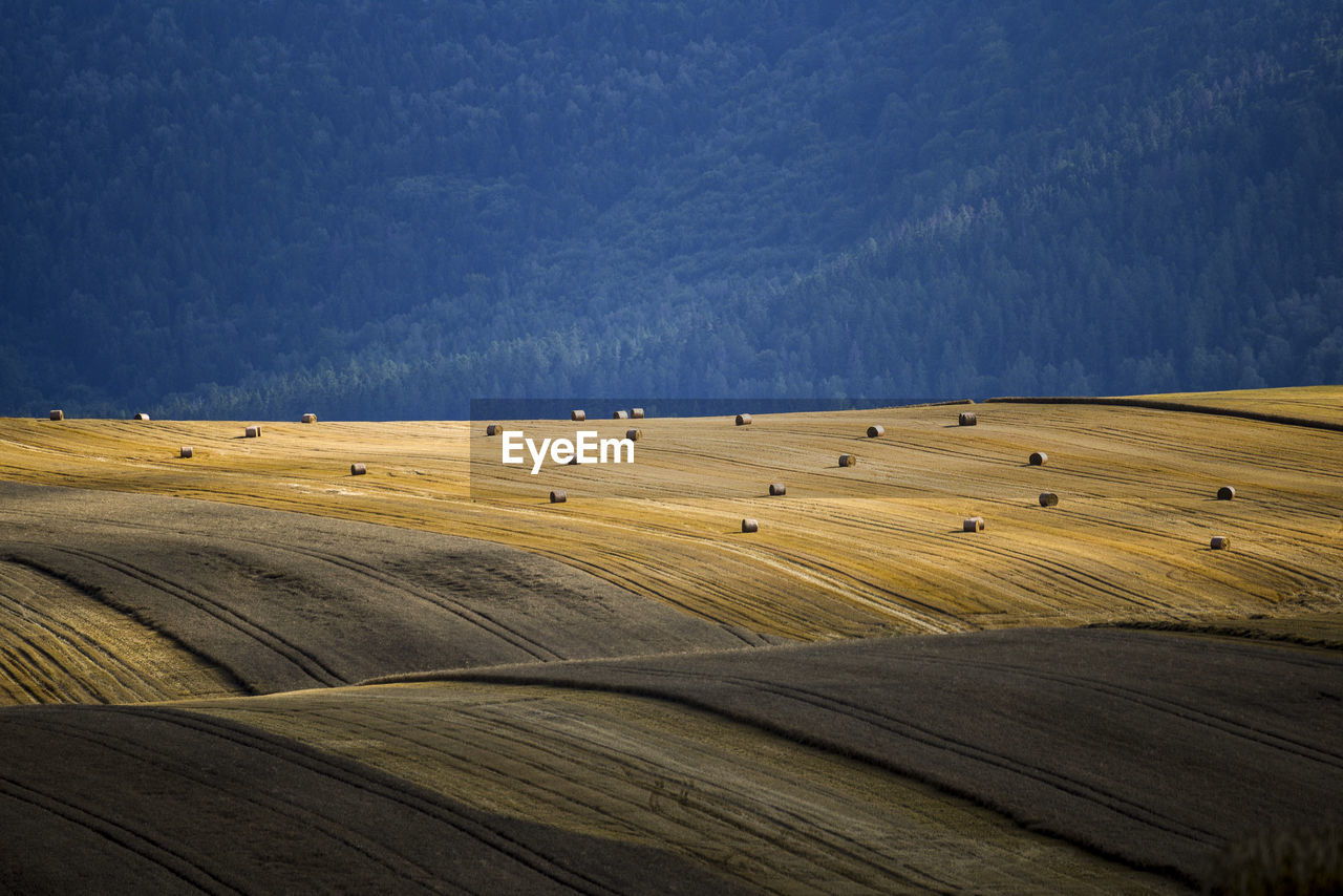 High angle view of hay bales on field against sky