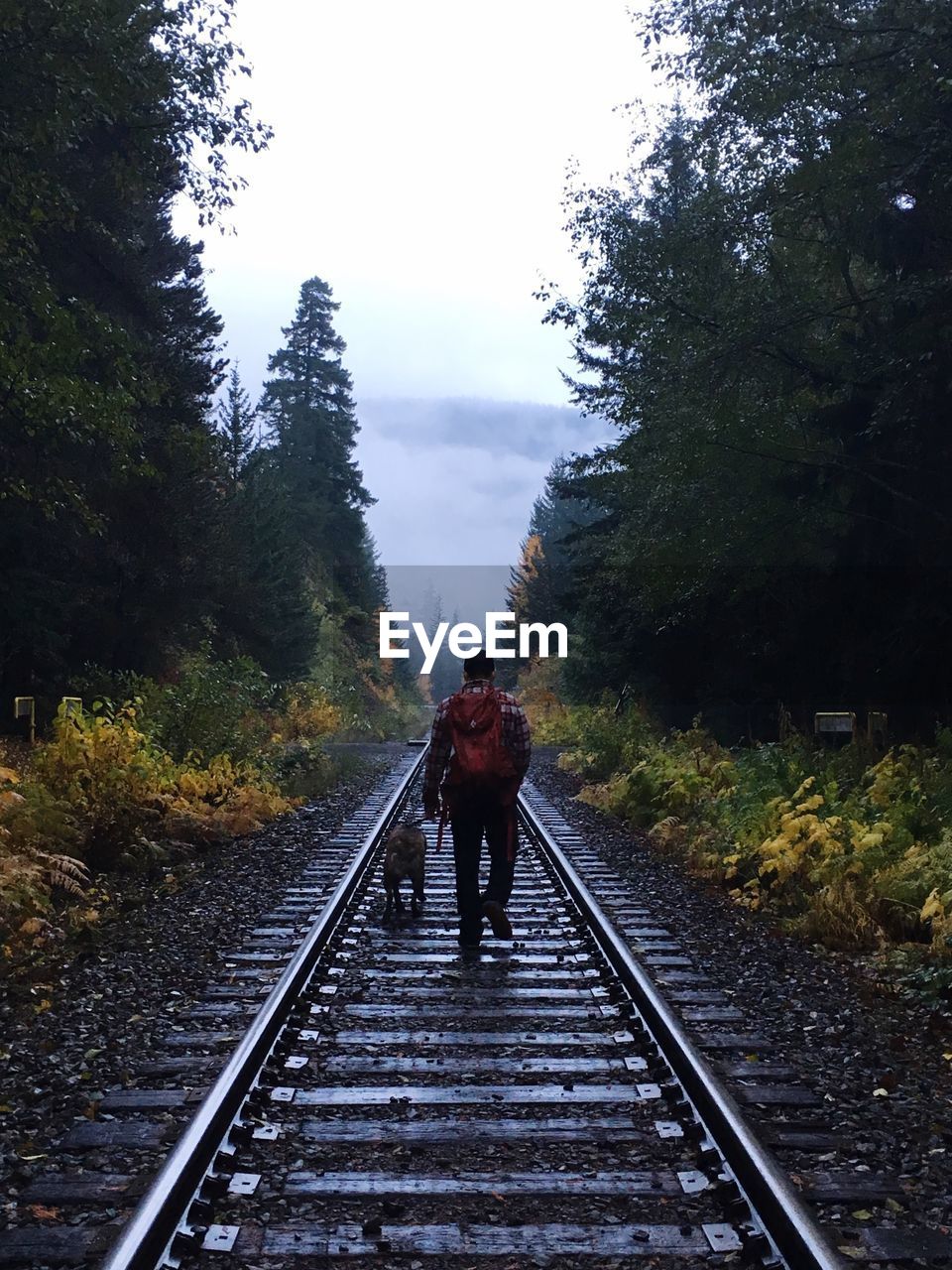 Man with dog walking on railroad tracks amidst trees against sky