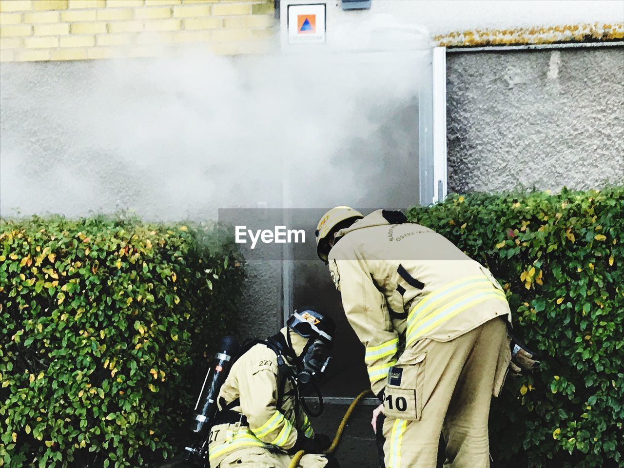 Firefighters wearing uniform while working by plants