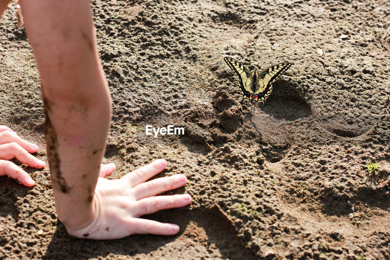 LOW SECTION OF WOMAN HAND ON SAND