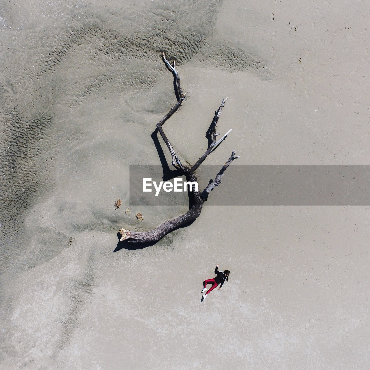 Aerial view of woman lying on sand by driftwood