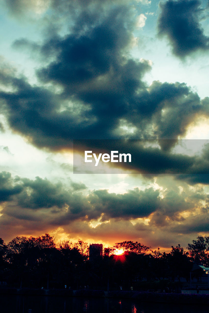 SILHOUETTE OF TREES AGAINST CLOUDY SKY