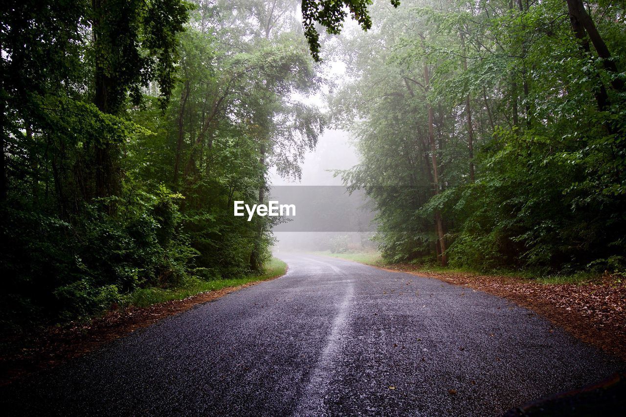 Road amidst trees in forest during rainy season