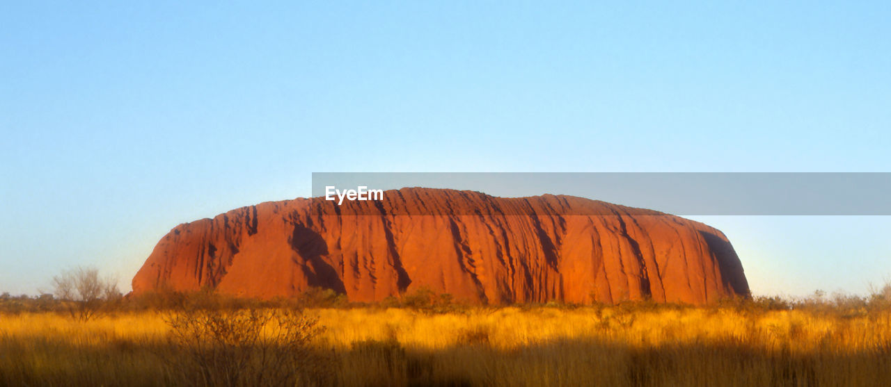 Scenic view of field against clear sky