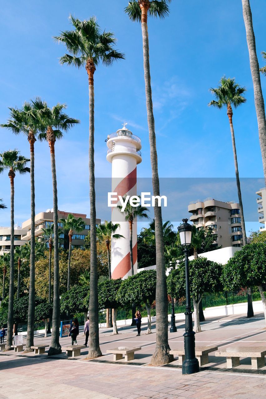 Palm trees  and lighthouse by street against sky