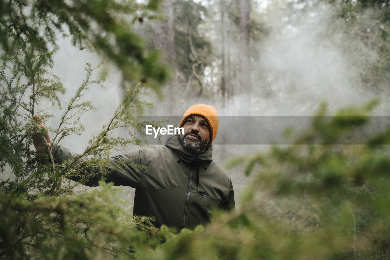 Male hiker exploring amidst plants in forest during vacation