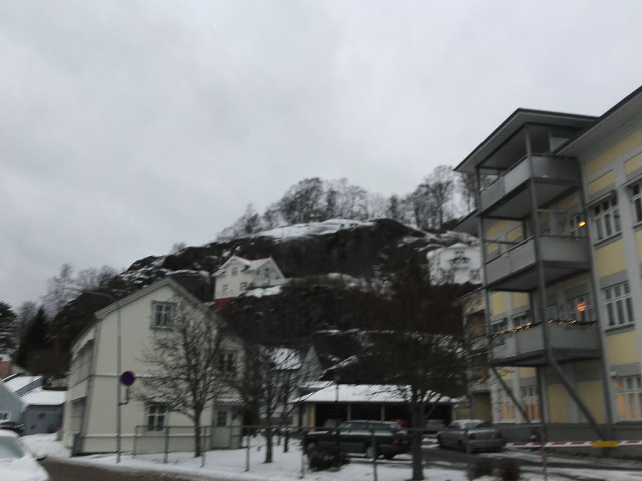 HOUSES BY TREES DURING WINTER