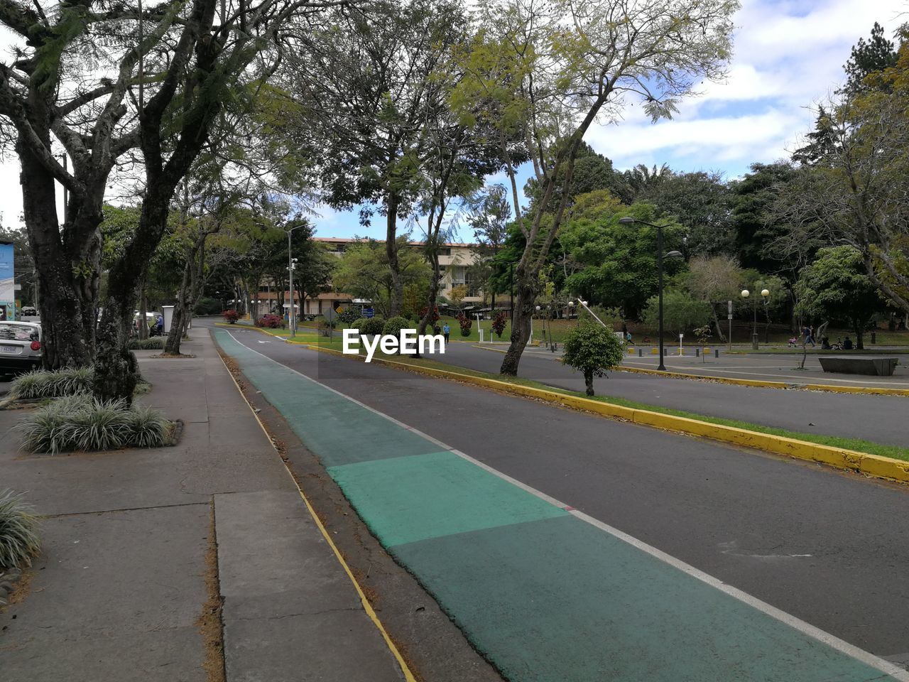 STREET BY TREES AGAINST SKY