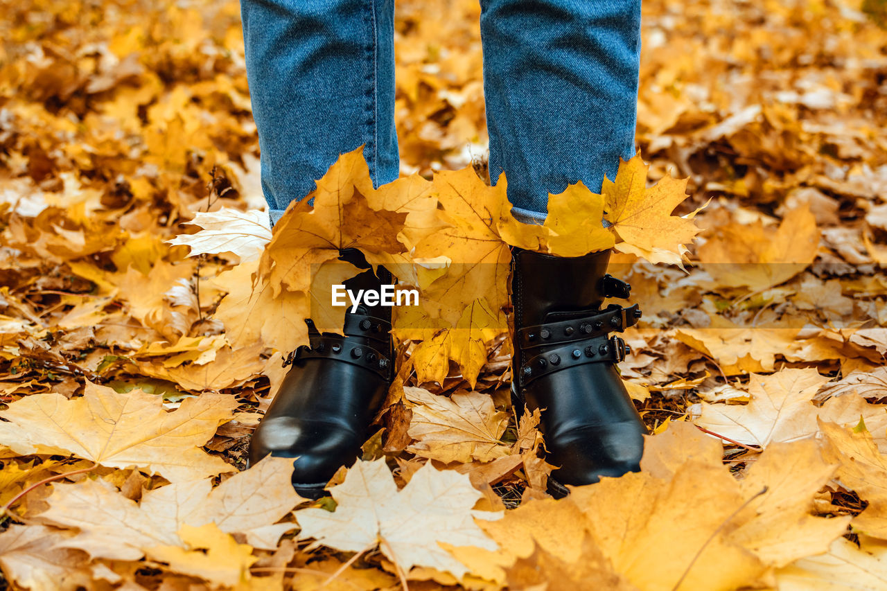 Happy fall, hello autumn. female legs in boots on the autumn leaves. autumn shoes. female legs in