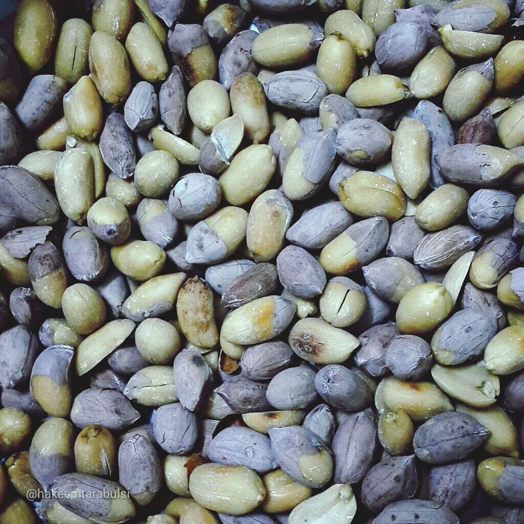 Close-up of groundnut