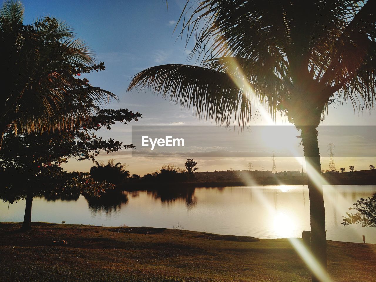 Silhouette palm trees by lake against sky during sunset