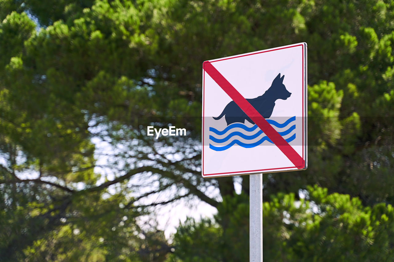 sign, tree, plant, communication, traffic sign, symbol, nature, signage, no people, road, road sign, day, outdoors, guidance, flag, street sign, warning sign, representation, environment, focus on foreground, pole, animal