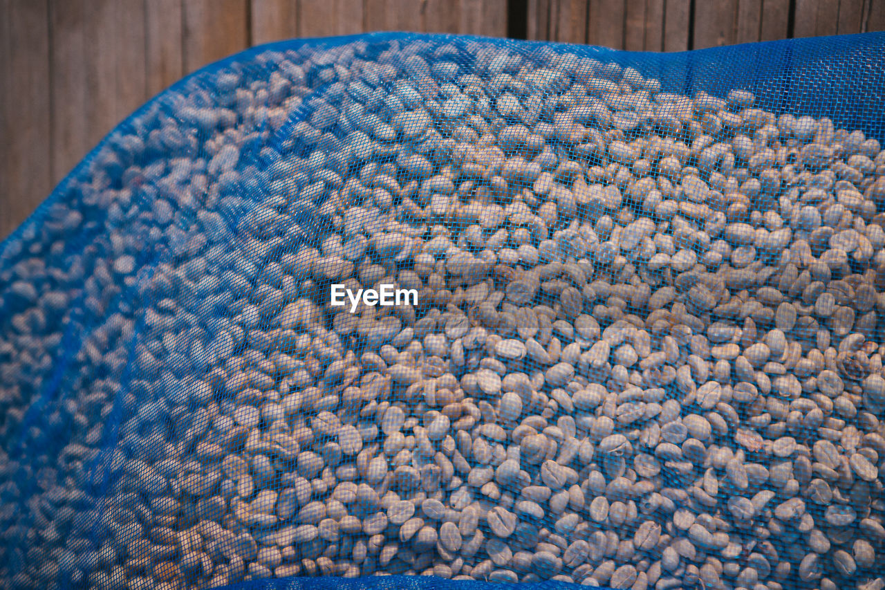 Raw coffee beans in netting