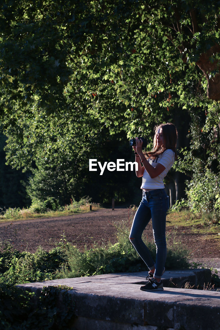 Woman photographing through camera while standing against trees