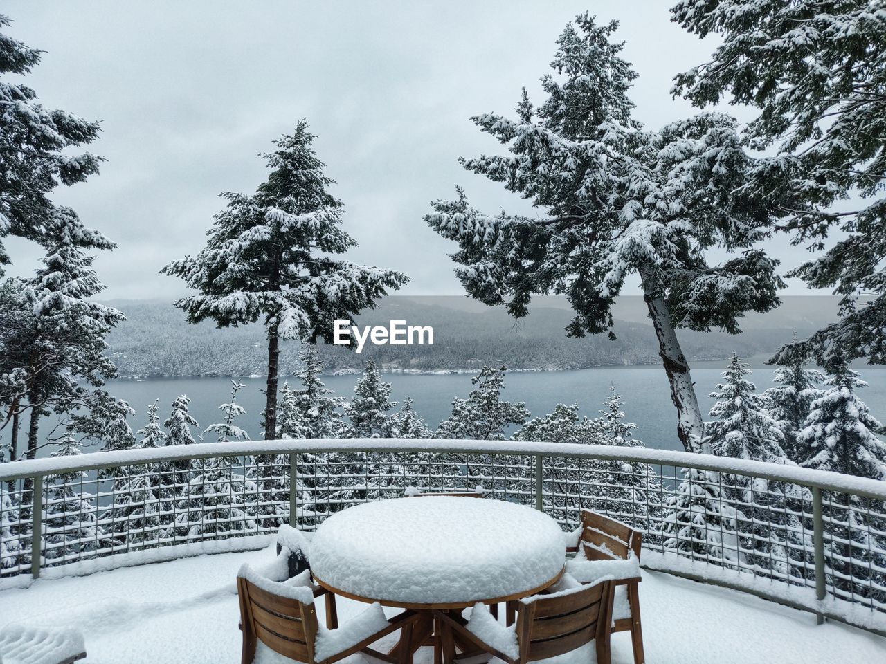 Empty chairs and tables by railing against trees and sky during winter