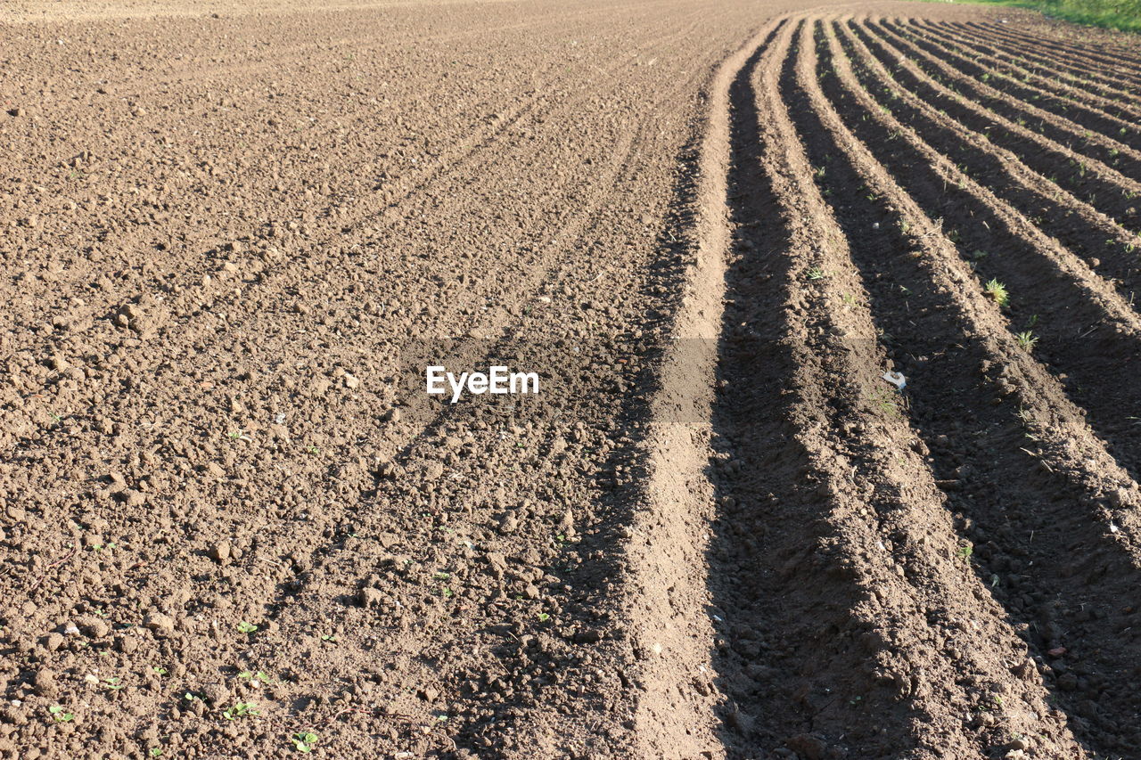 View of agricultural landscape