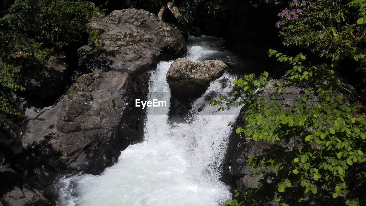 SCENIC VIEW OF WATERFALL IN FOREST