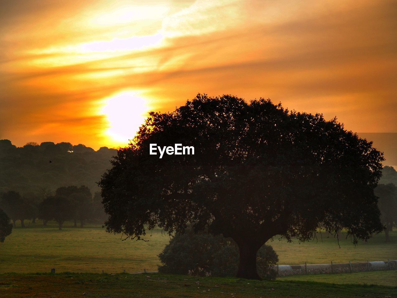 SCENIC VIEW OF FIELD AGAINST SKY DURING SUNSET