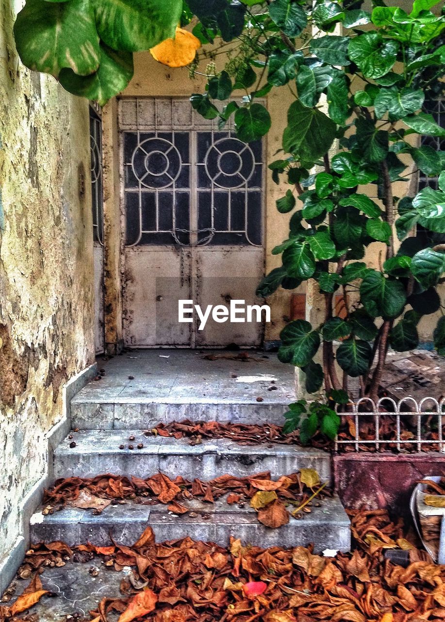 House with closed door and front stairs