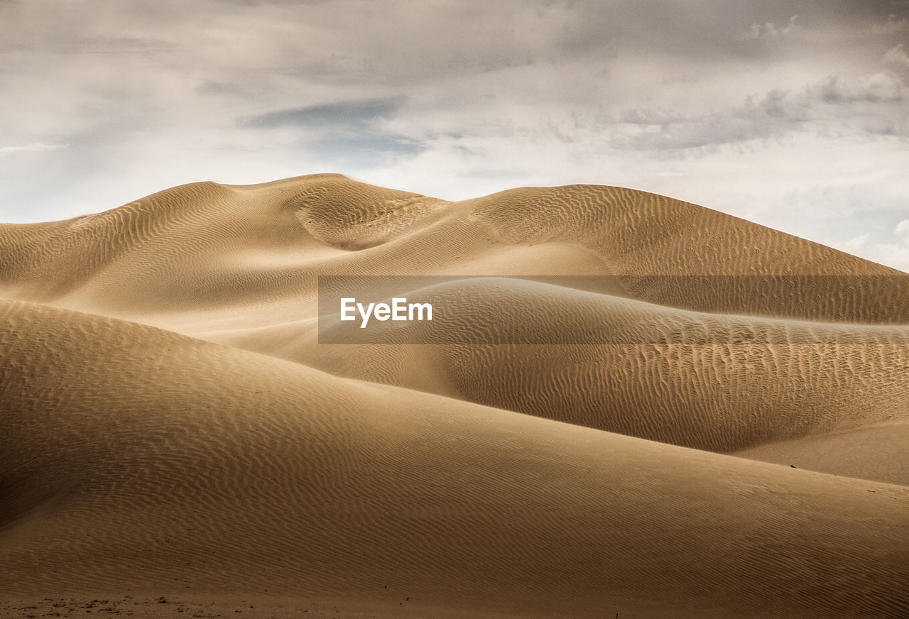 Sand dune in desert against sky