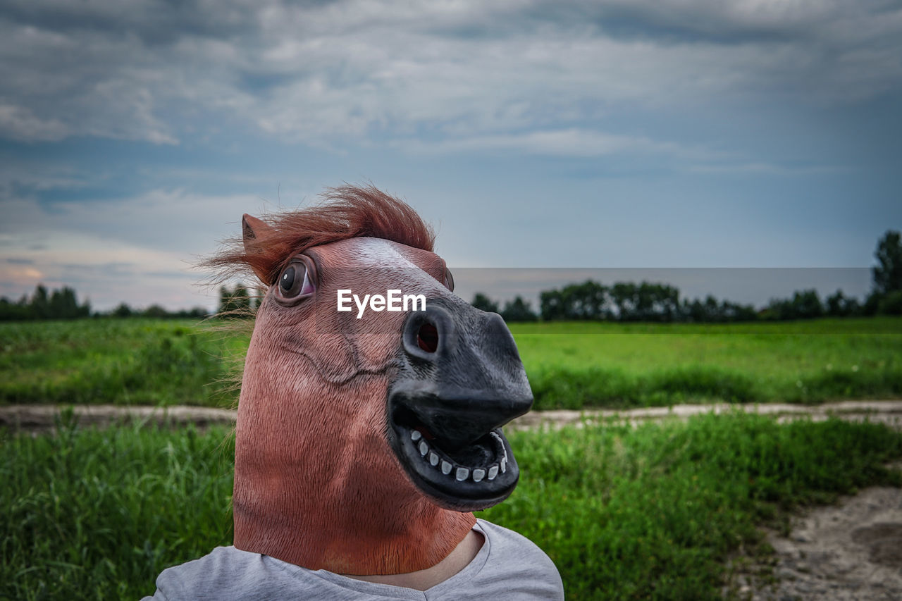 Portrait of man with a horse mask on field against sky