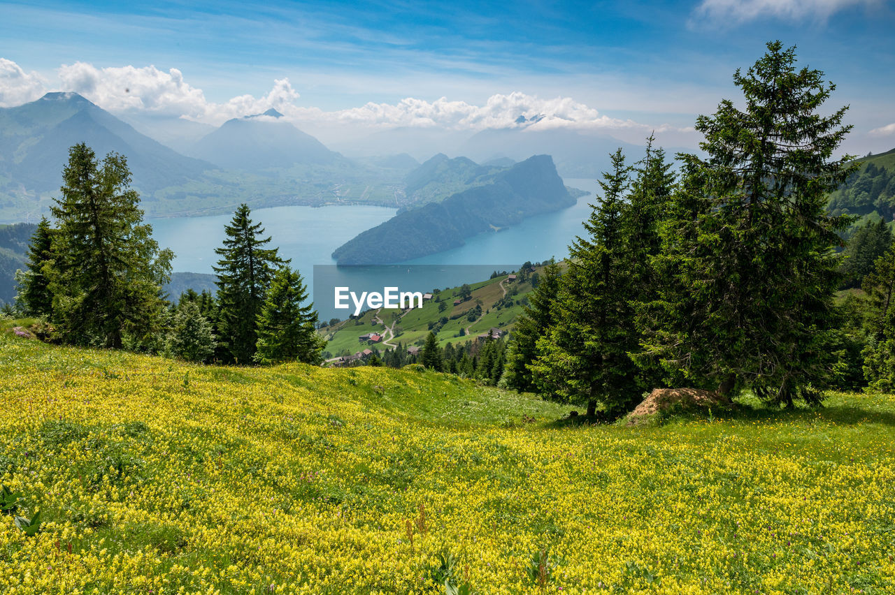 Scenic view of landscape and mountains against sky