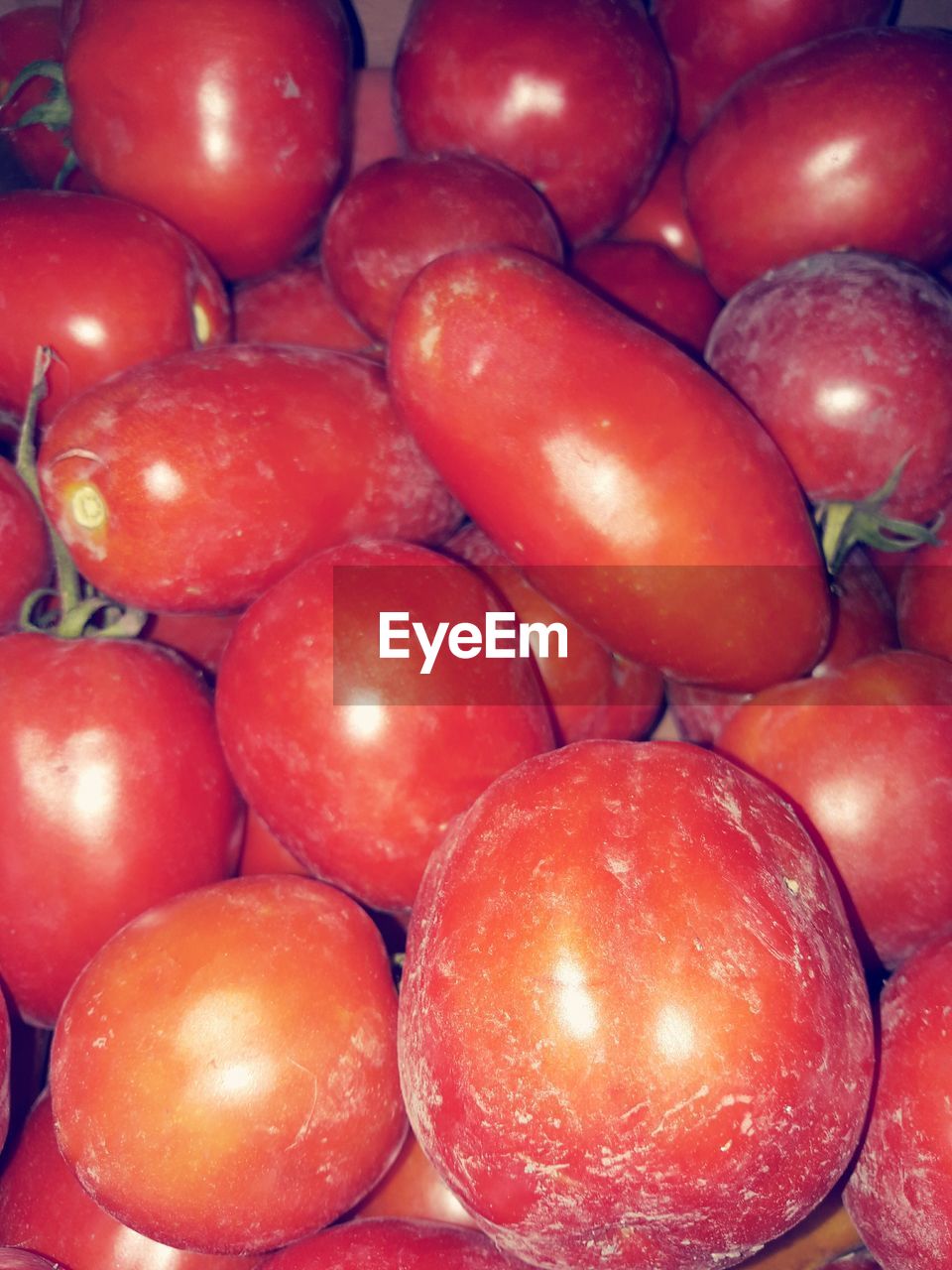 FULL FRAME SHOT OF TOMATOES