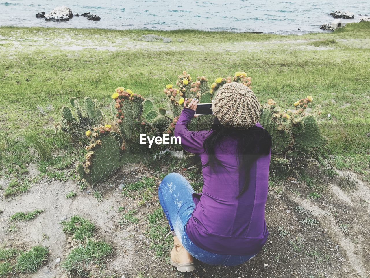 Rear view of woman photographing cactus plants using smart phone