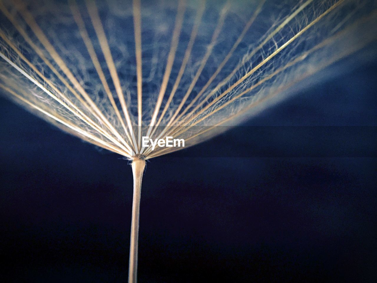 LOW ANGLE VIEW OF ILLUMINATED STREET LIGHT AGAINST SKY