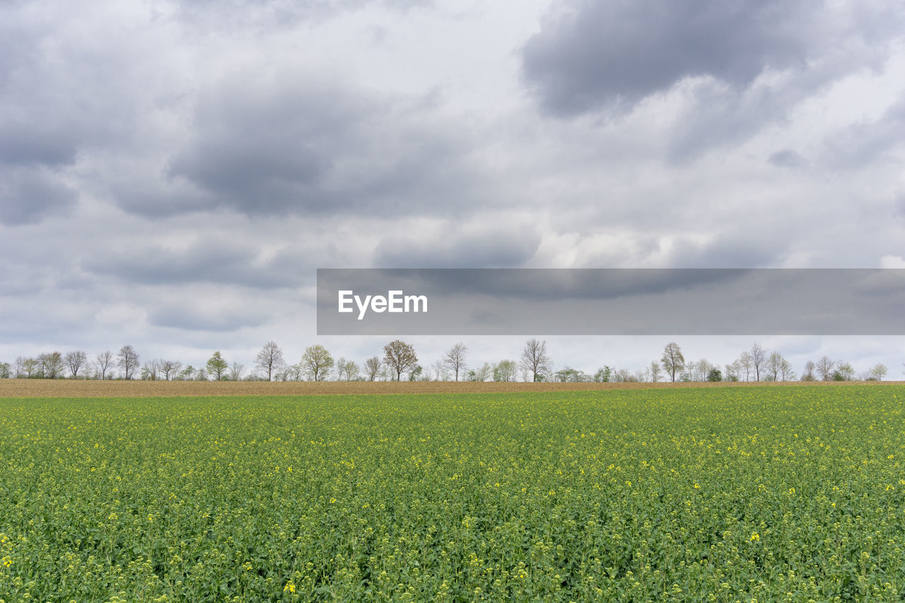 Scenic view of field against cloudy sky