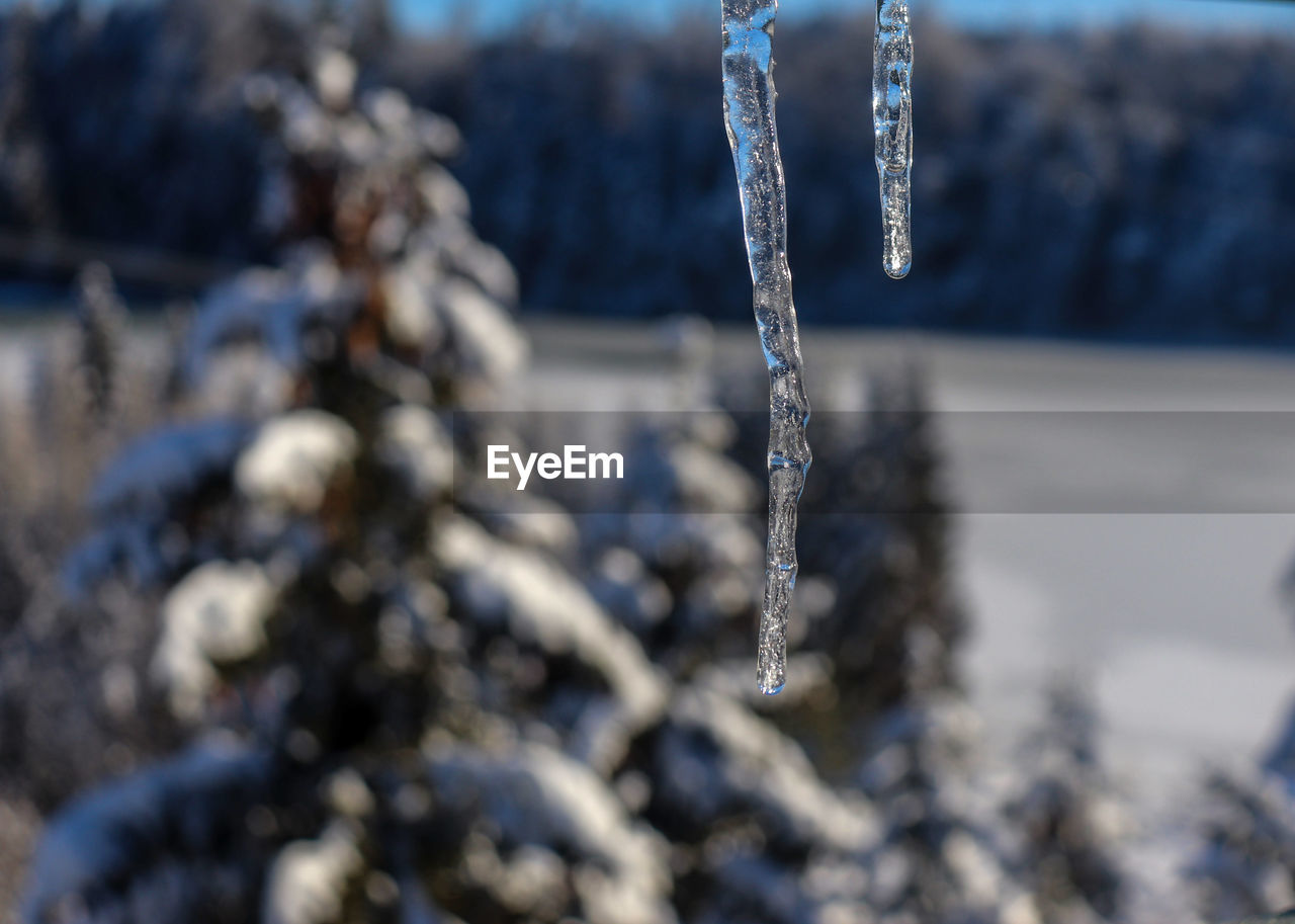 CLOSE-UP OF FROZEN WATER