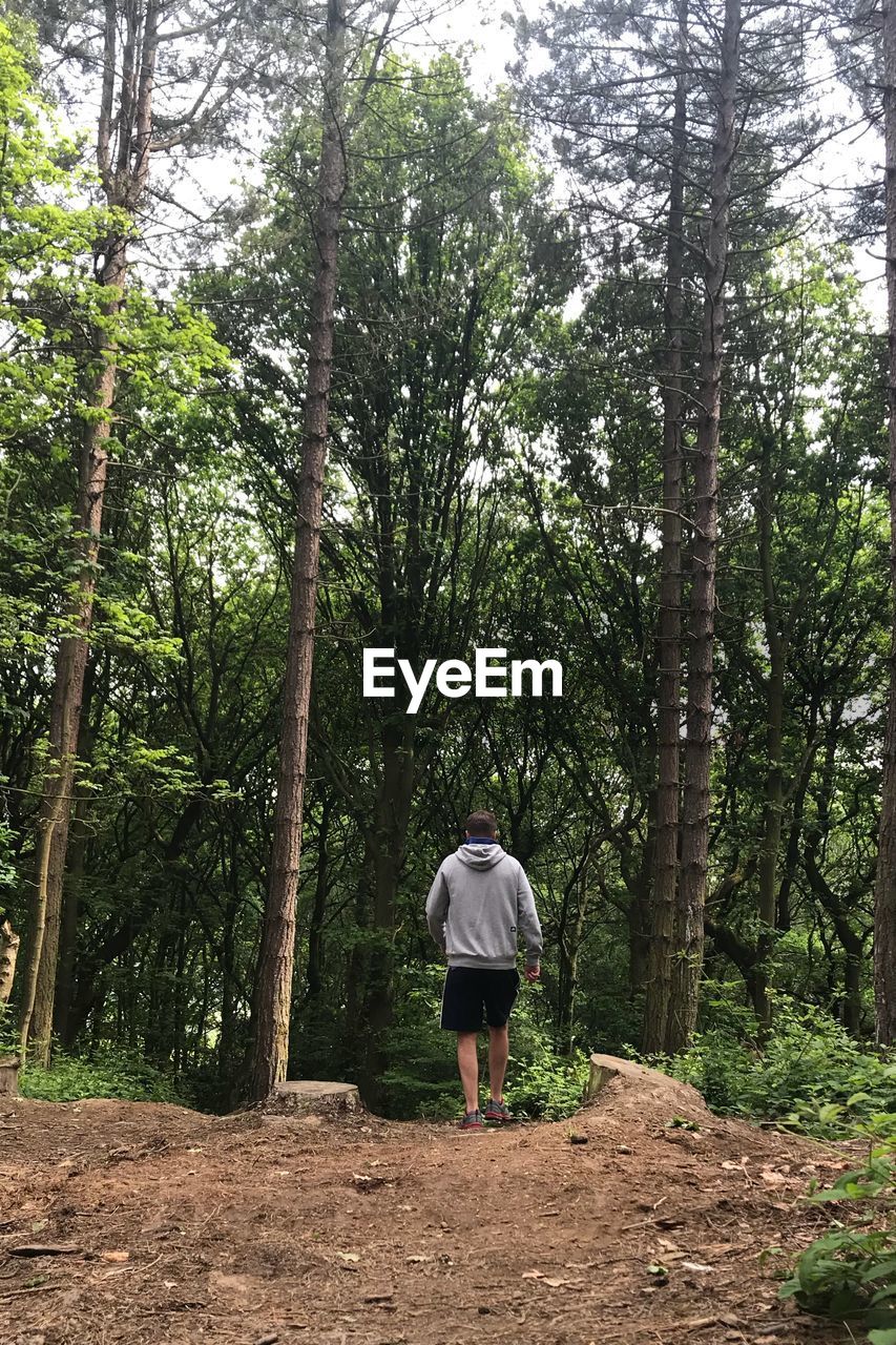 REAR VIEW OF MAN WALKING ON STREET AMIDST TREES