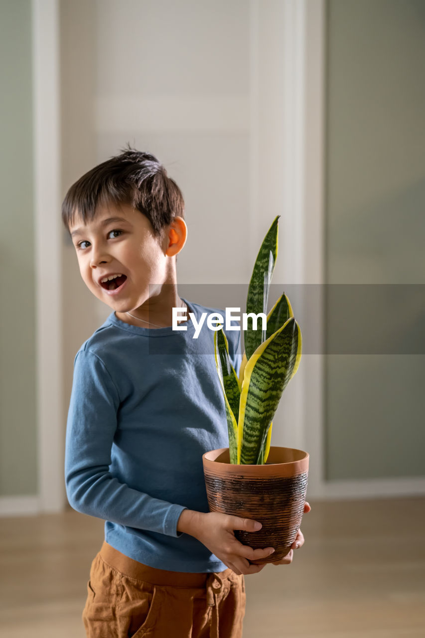 A boy holds a flower pot with sansevieria.