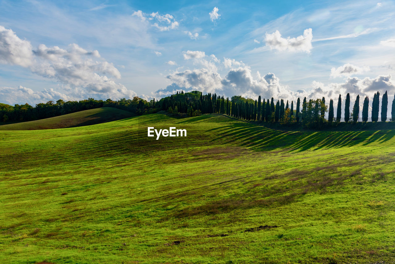 Scenic view of grassy field against sky