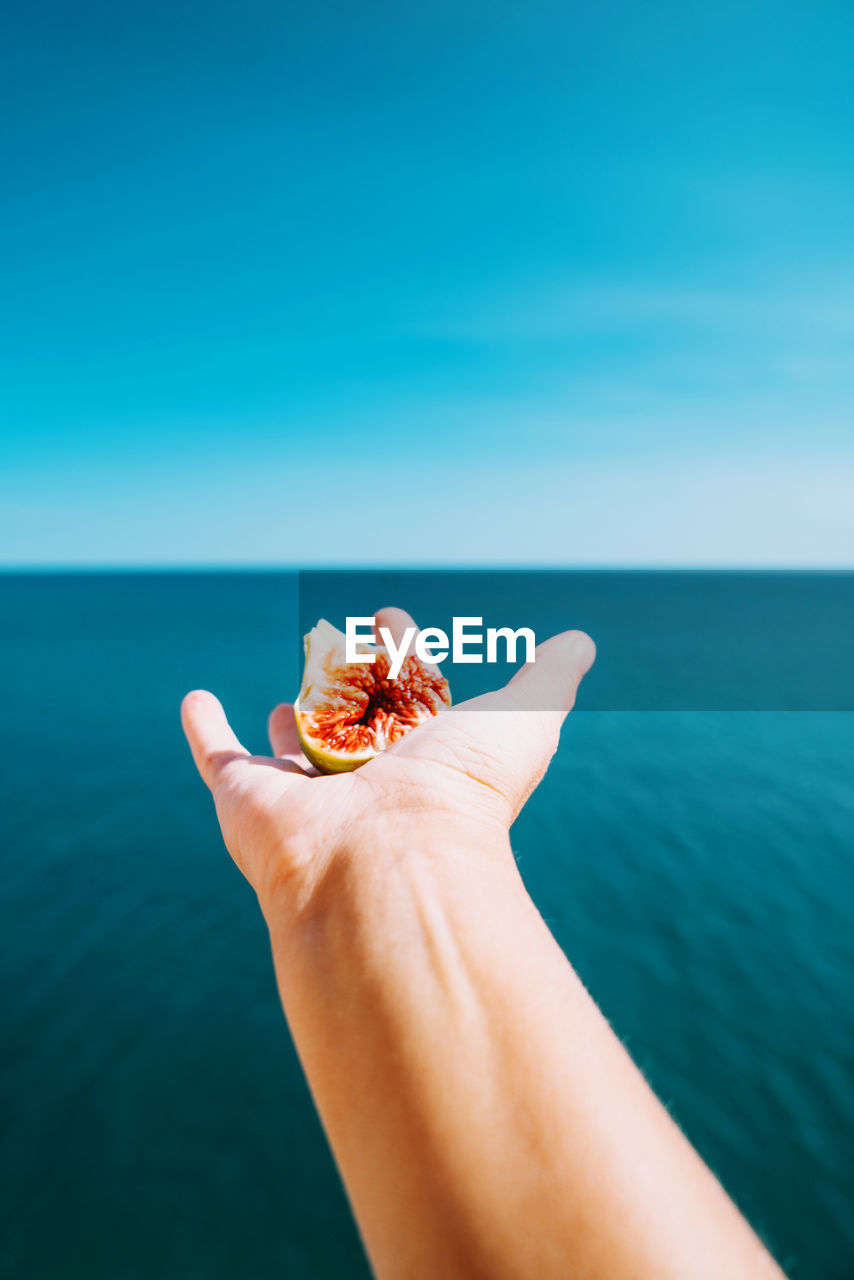 Hand holding fig with sea on the background