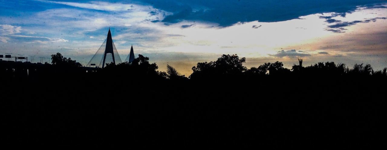 SILHOUETTE OF TREES AT SUNSET