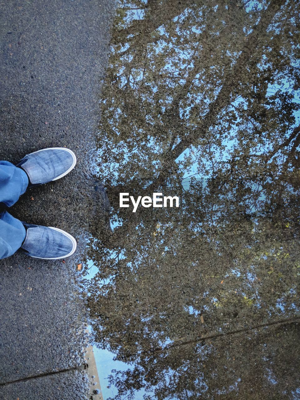 Low section of person standing by puddle on street